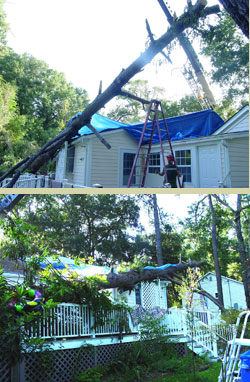 STORM DAMAGE RESPONSE